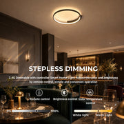 Lustra LED cu telecomanda LETIZIA 34W, Rotunda, lumina Rece/Calda/Neutra, Dimabila, Negru - 14_LT127BK.png