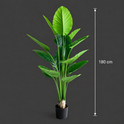 Plantă Artificială Tip Strelitzia, 180 cm, 15 frunze, Verde