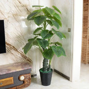 Τεχνητό φυτό Alocasia odora, χωρίς γλάστρα, 150 εκ. Πράσινα τεχνητά φυτά εσωτερικού χώρου Προεπιλεγμένος τίτλος Alessandro Design