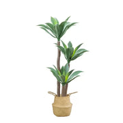 Τεχνητό φυτό Dracaena fragrans, χωρίς γλάστρα, 180cm Πράσινα τεχνητά φυτά εσωτερικού χώρου Προεπιλεγμένος τίτλος Alessandro Design